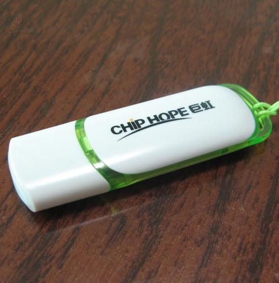 Best Cheap Promotional Gift USB Flash Disk Memory Drive USB