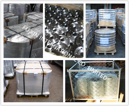 Cold/Hot DIP Galvanizing Forged Carbon Steel Round Connect Flat Face Pipe Flange