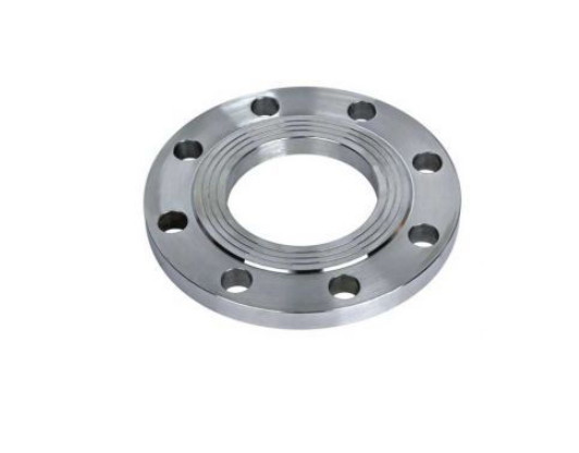 Forged Steel Ss CS Slip on Flanges