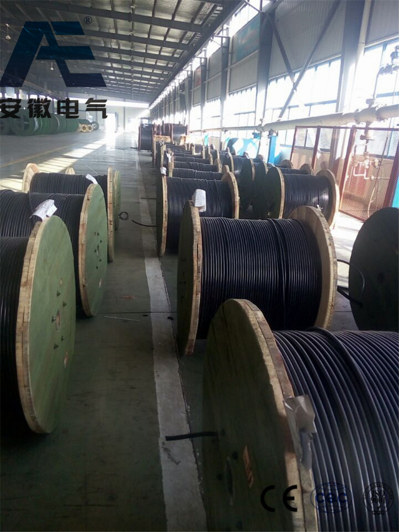 China Cu/PVC/Cts/PVC, Control Power Cable, 0.6/1 Kv (IEC 60502-1)