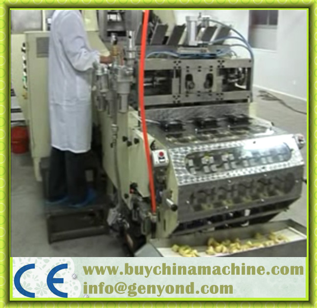 Full Automatic Fortune Cookie Production Line