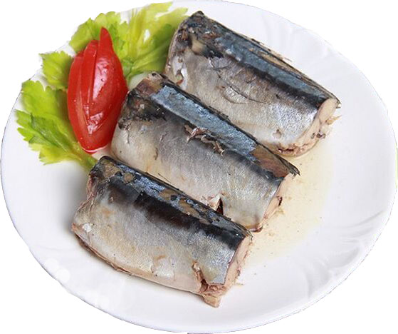 Export High Quality Canned Mackerel