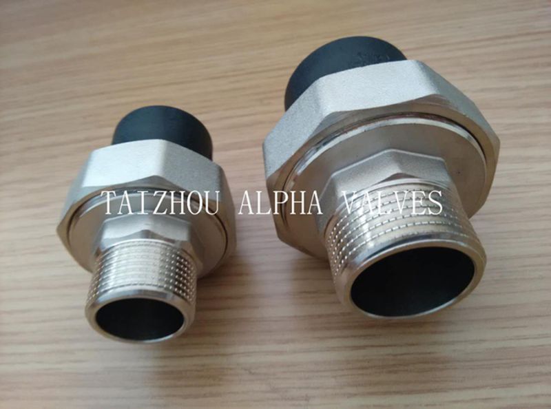 Brass Union Male Fitting with Rubber Tube (a. 7038)