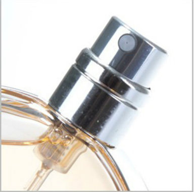 Ad-P13 Oval Glass Perfume Bottle Surlyn Unobservable Pipette 100ml 50ml 25ml