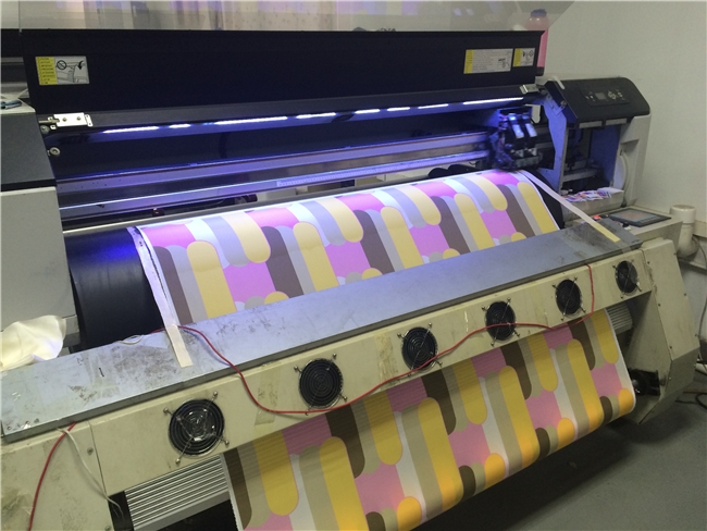 Flower Digital Printing 3D Printing Fabric (DSC-4028)