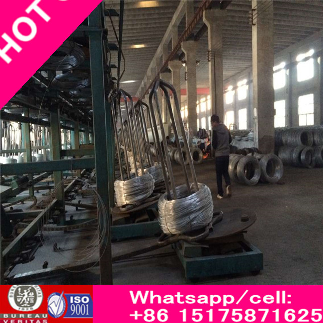 Galvanized High Carbon Straightened Steel Wire