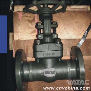 API 602 Flanged Forged Steel Gate Valve