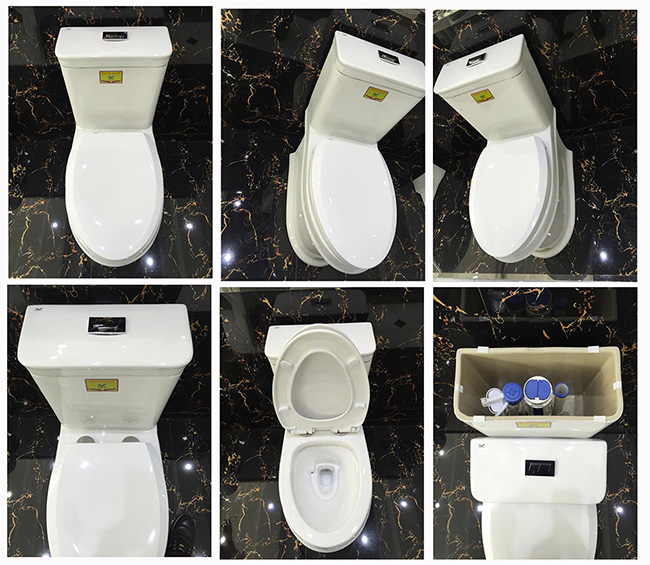 Foshan Sanitary Ware 4D Flushing Ceramic Toilet