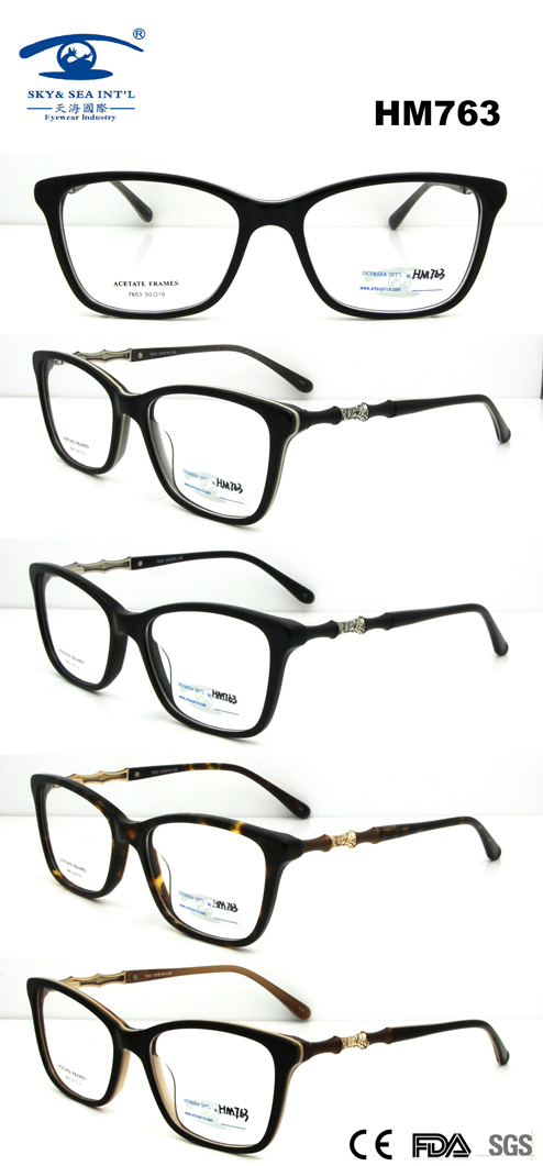 High Quality New Design Acetate Optical Frame (HM763)