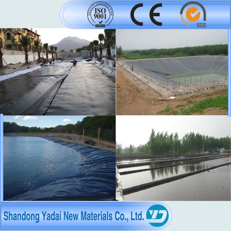 Pond Waterproofing Material Membrane HDPE Impermeable Geomembrane 0.25mm