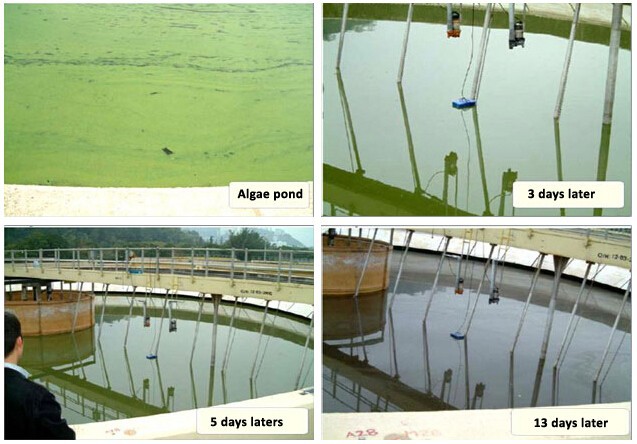 Ultrasonic Algae Controller for Ponds and Lakes