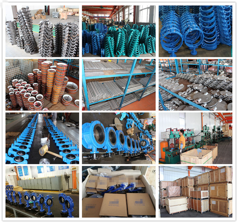 Blue Color Butterfly Valve