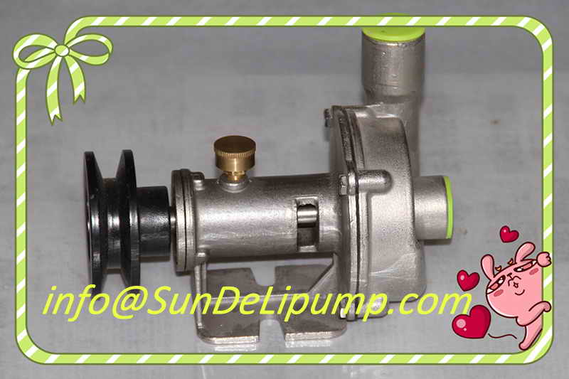 Cheaper Price Cast Iron Marine Pump China