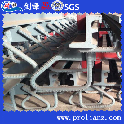 High Performance Modular Bridge Expansion Joint to USA