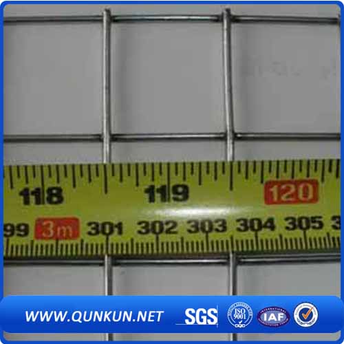 China 10 Gauge Galvanized Welded Wire Mesh