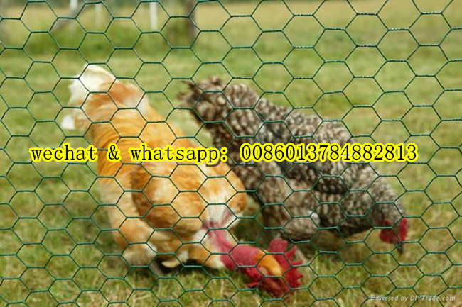 Galvanized Chicken Wire Mesh Box (hexagoanl netting)