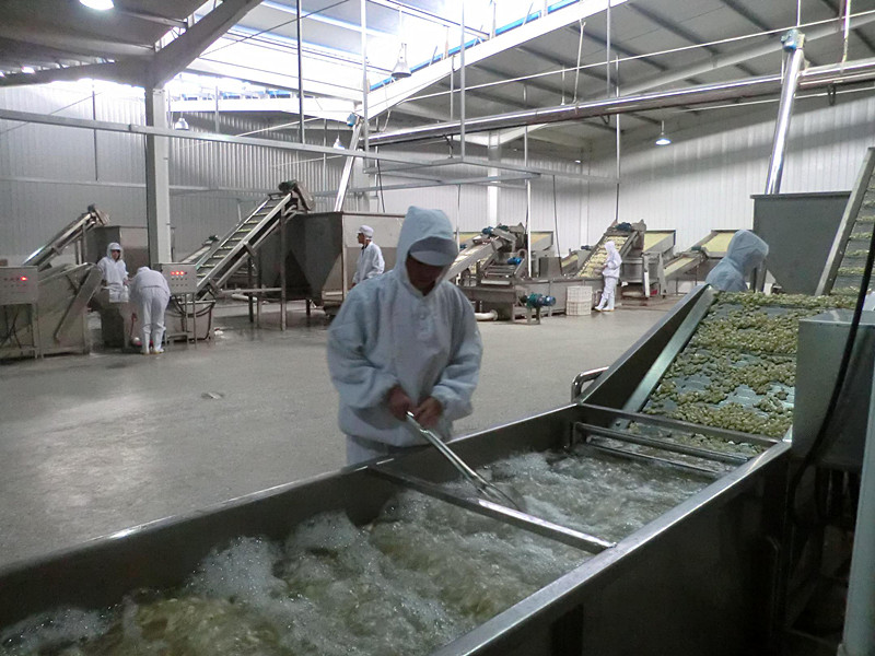 New Season Dried Garlic Powder From Factory