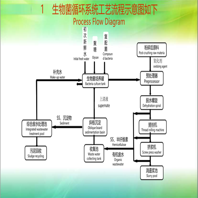 Bagasse Pulp Making System