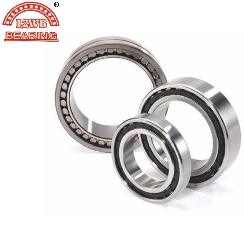 Chinese Manufactory of Cylindrical Roller Bearing (NJ 206 E)