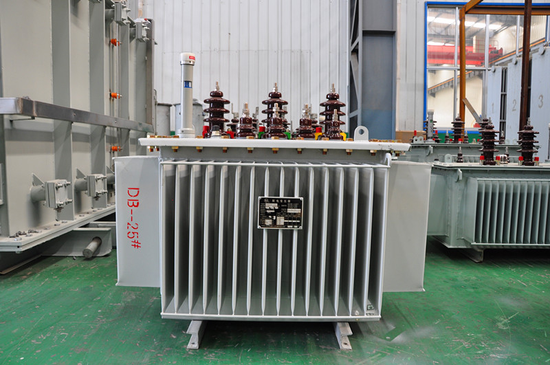 10kv Oil-Immersed Power Transformer for Power Supply