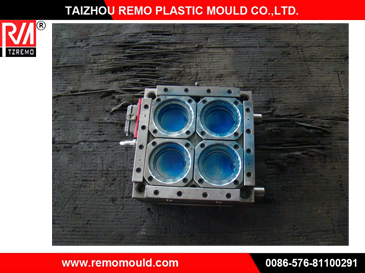 RM0301059 Cap Injection Mould