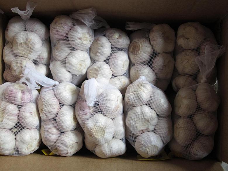 Experienced Supplier of Fresh White Garlic From China