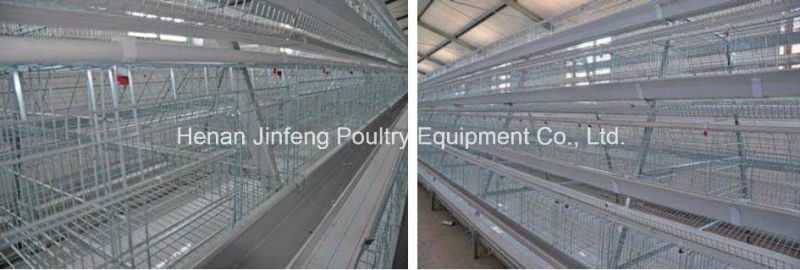 Poultry Farm Layer Chicken Cage in China