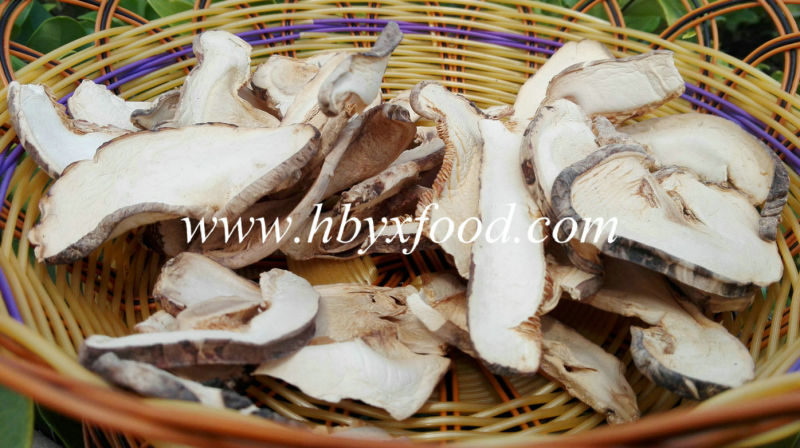 2016 High Quality IQF Sliced Shiitake Best Sell