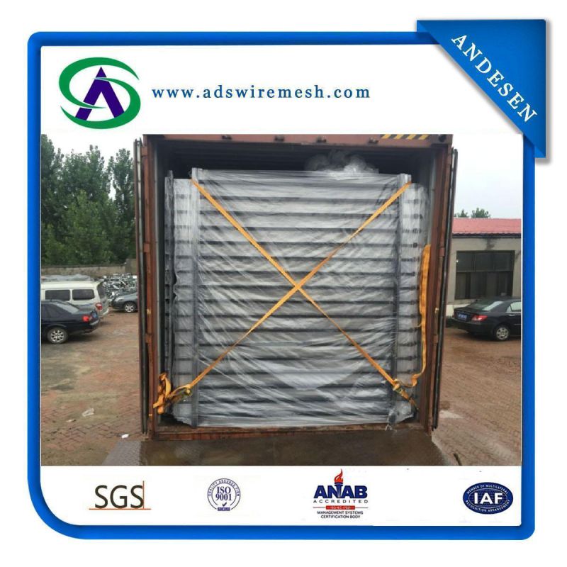 Factory Direct Sell Ornamental Steel Fence