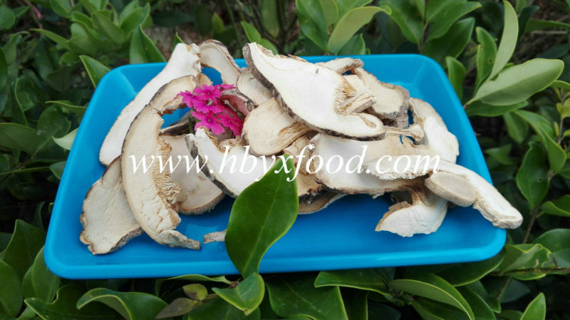 Hot Sales Dried Smooth Shiitake Mushroom Slices with Size 3-7cm