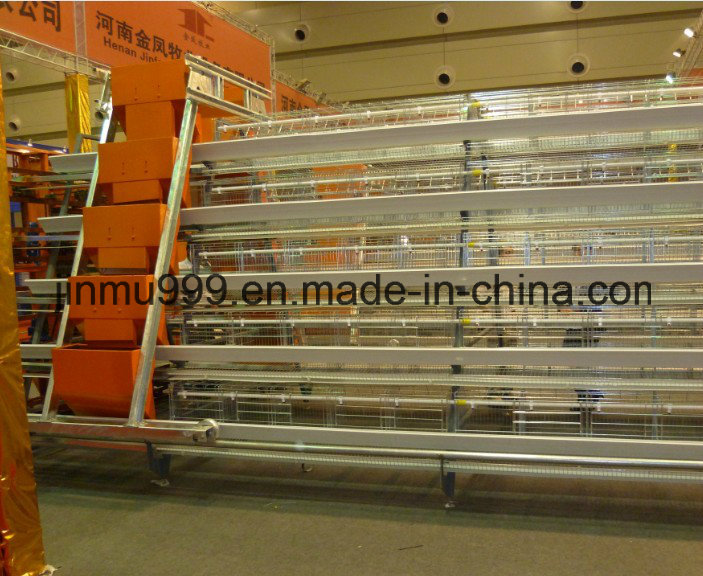 Automatic Battery Chicken Frame Cage for Chicken Farm Use