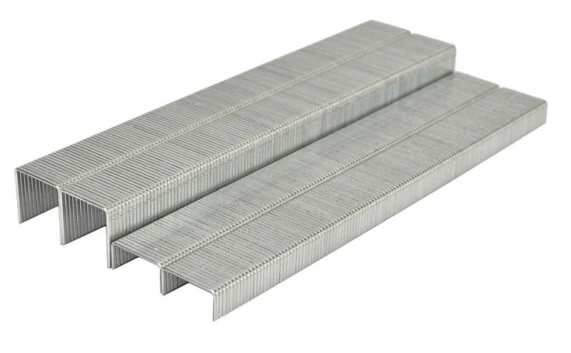 Bea380 Galvanized Staples for Furniture, Packaging,