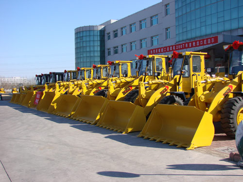 China Brand 5t Mini Loader (DG958)