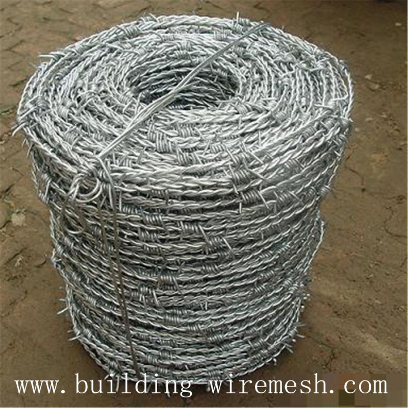 High Quality Low Carbon Galvanized Barbed Wire