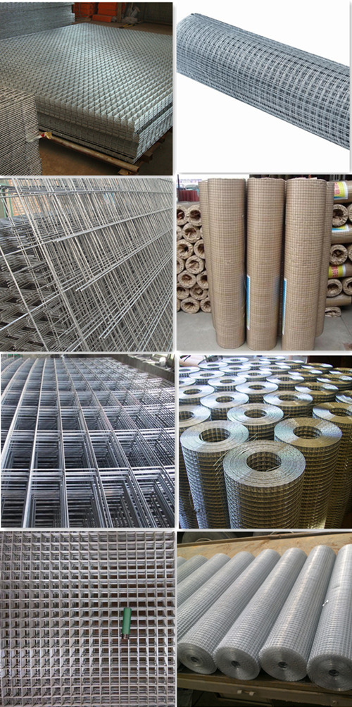 Made in China Stainless Steel Wire Galvanized Welded Wire Mesh/Netting