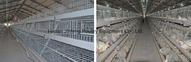 Broiler Chicken Birds Cage Frame Poultry Farm Use