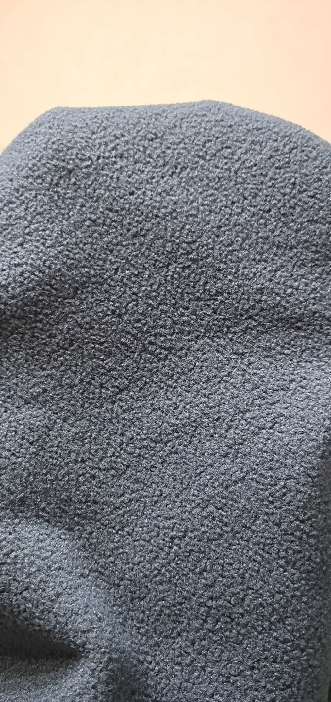 100% Polyester Polar Fleece Dyed Fabric DTY 150d/144f Double Brush Double Side Anti-Pilling