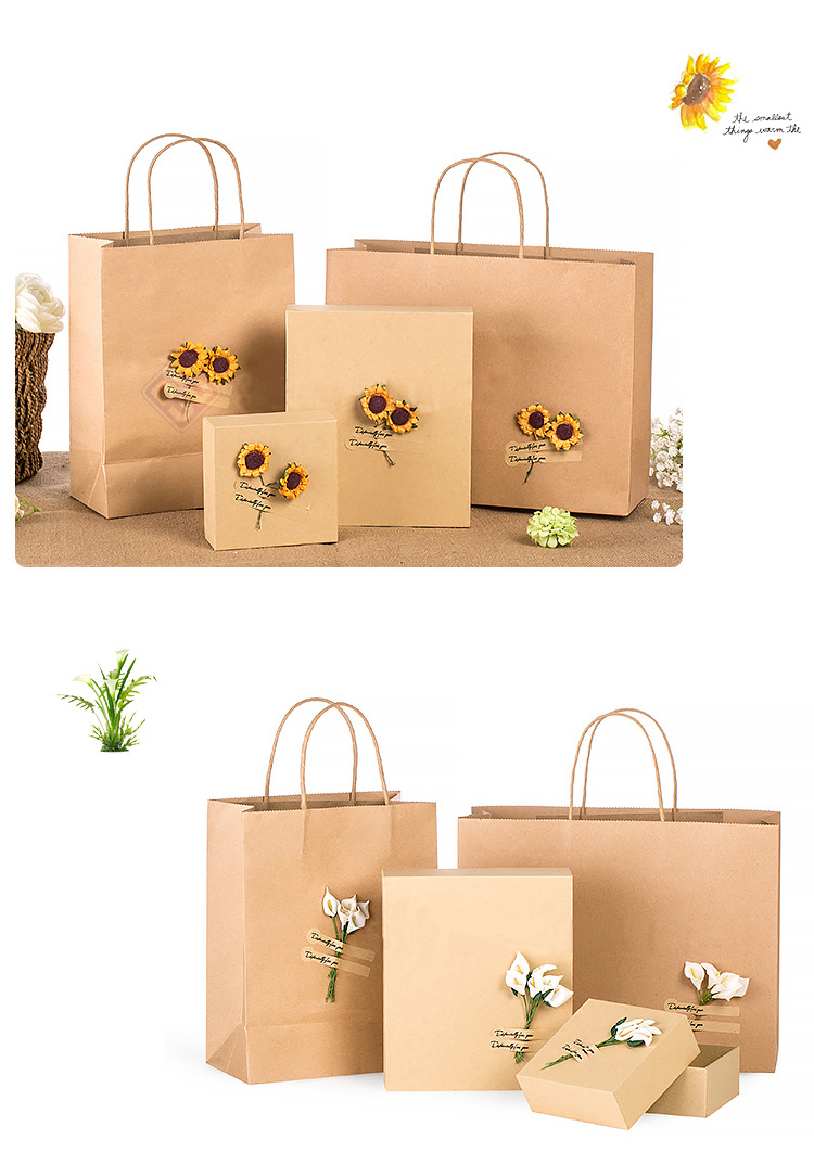 Hot Sale Kraft Paper Shopping Bag, Paper Gift Bag