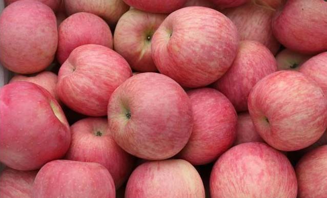 Paper Bagged Red FUJI Apple