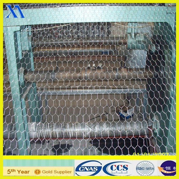 Hexagonal Wire Mesh Chicken Mesh (XA-HM413)