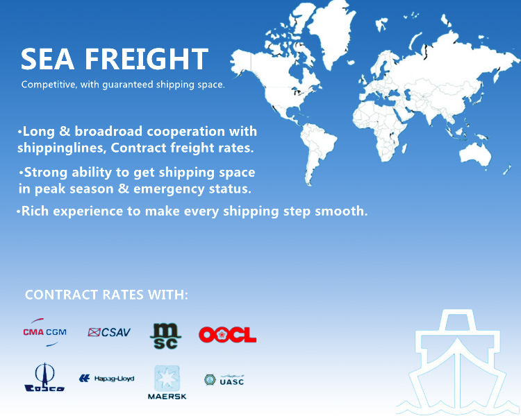 Porfessional Shipping Logistics Service From Shenzhen/Shanghai/Ningbo/Guangzhou, China to Germany