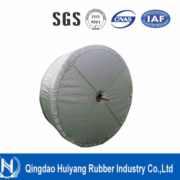 Rubber/Cotton Canvas/PVC/Nylon/Ep Conveyor Belt