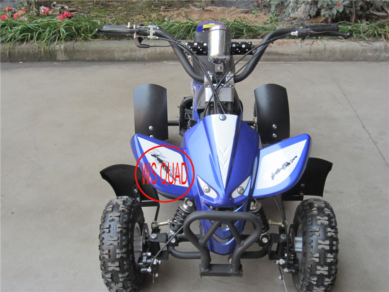 Children 500W 36V Electric Atvs Et-Eatv001