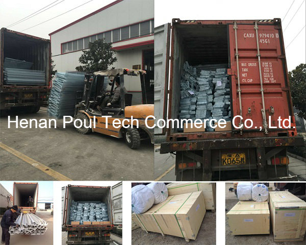 Poul Tech Poultry Farm Layer Chicken Cage (Hot Galvanization)