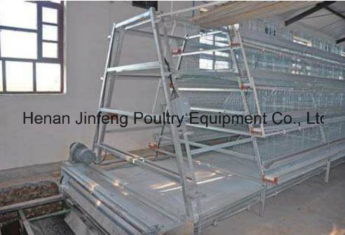 Hot High Quality Layer Chicken Farm Poultry Equipment From China