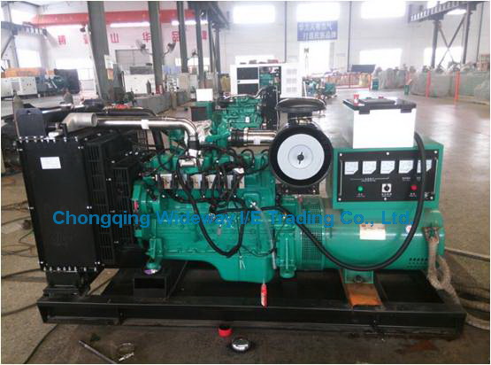 Ly6bg80kw High Quality Eapp Gas Generator Set
