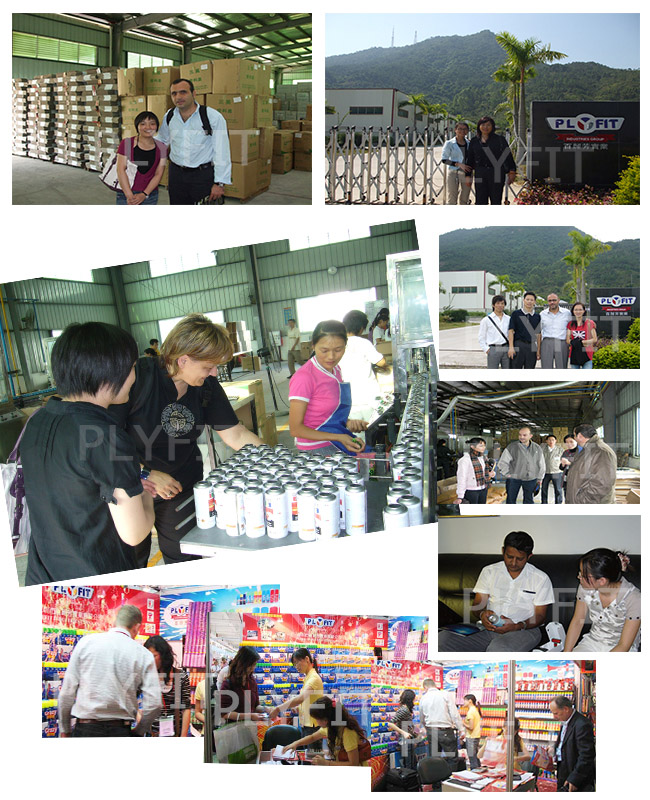 All Purpose Car Auto Aerosol Spray Paint Factory