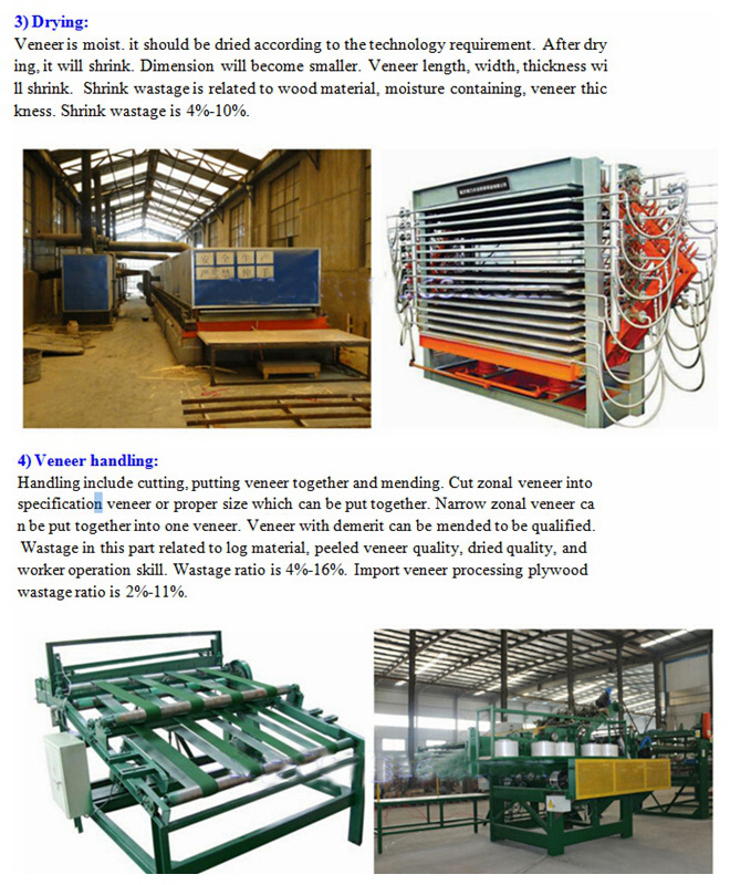 Complete Durable Plywood Production Line