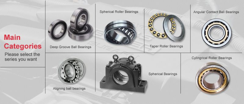 Anti Friction Ball and Roller Rolling Bearing for Tractors