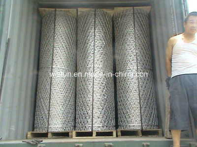 Hot Galvanized Barded Wire Razor Barded Wire Wire Mesh Fence